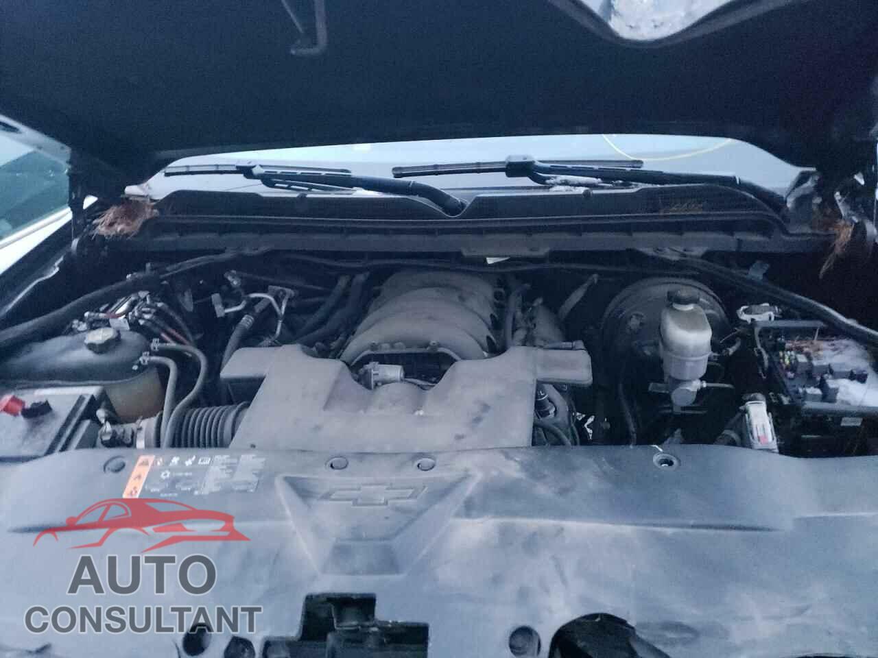 CHEVROLET SILVERADO 2019 - 2GCVKPEC7K1137374