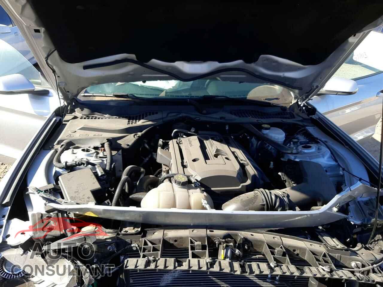 FORD MUSTANG 2019 - 1FATP8UH3K5151434