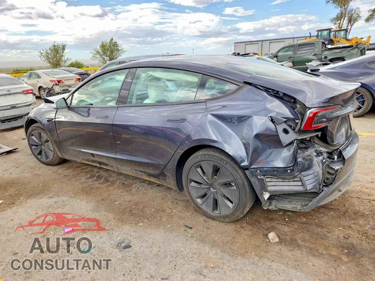 TESLA MODEL 3 2025 - 5YJ3E1EA1SF973351
