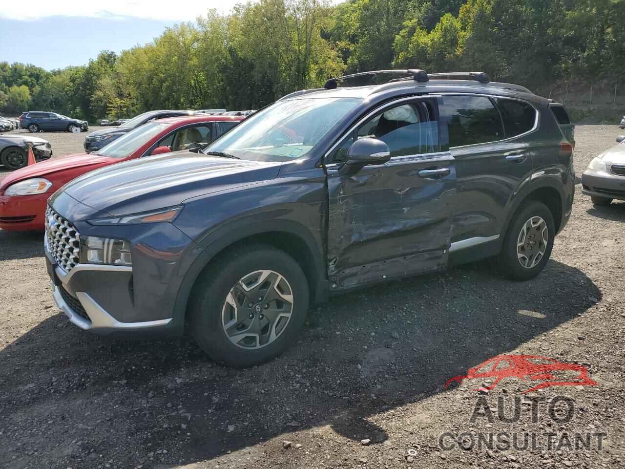 HYUNDAI SANTA FE 2022 - KM8S2DA16NU018712