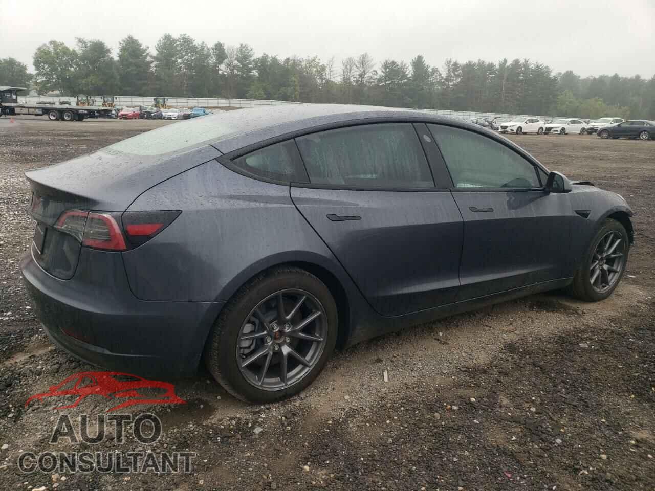 TESLA MODEL 3 2023 - 5YJ3E1EA3PF644464