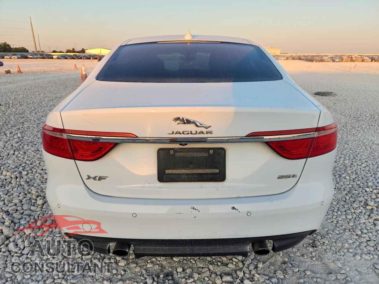 JAGUAR XF 2020 - SAJBE4FX0LCY85357