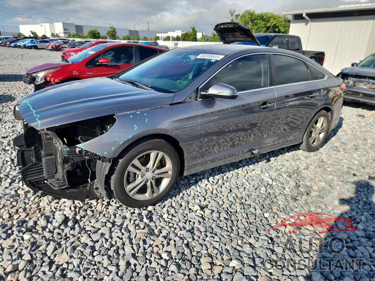 HYUNDAI SONATA 2019 - 5NPE34AF5KH796046