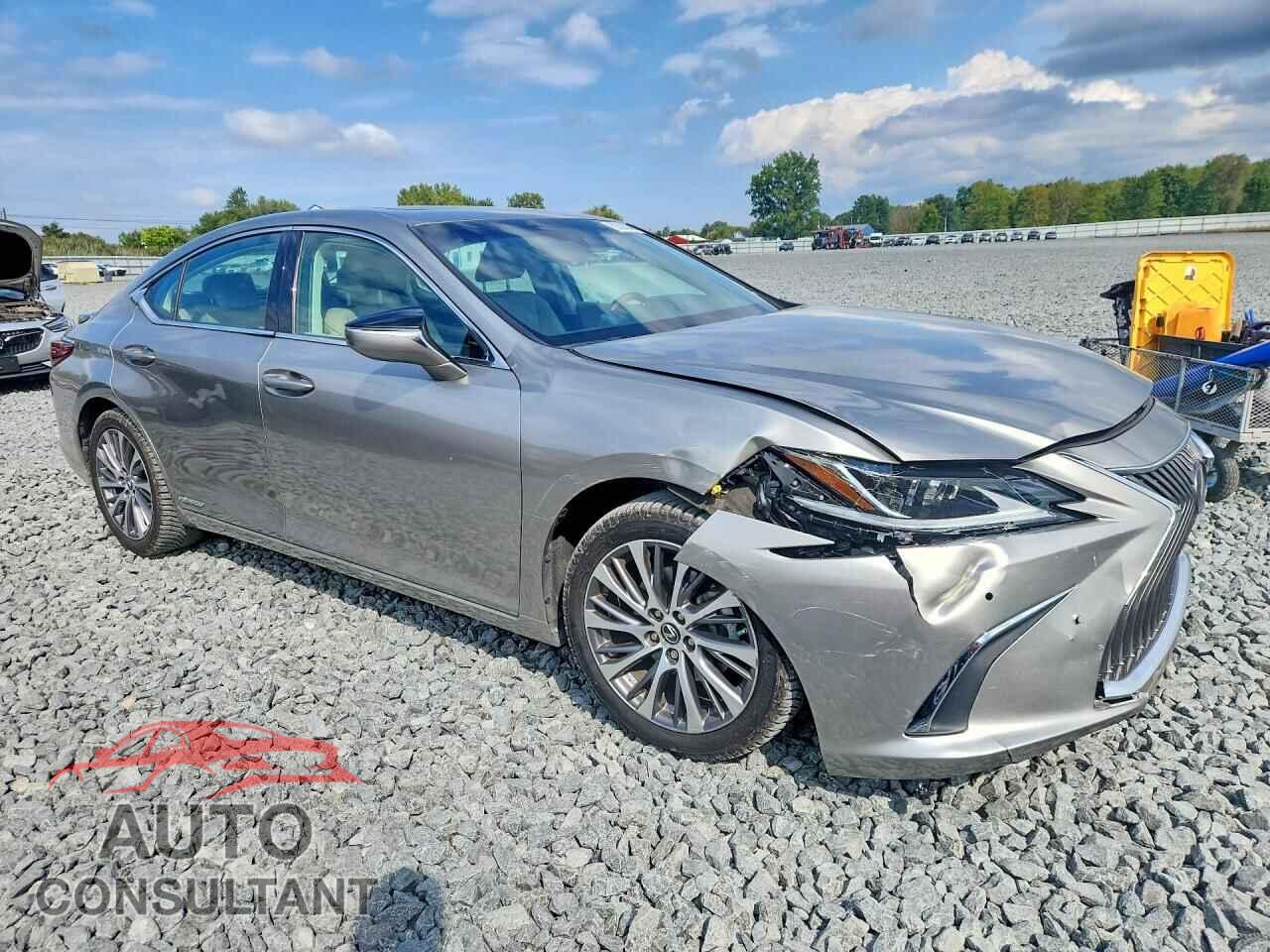 LEXUS ES300 2020 - 58AD21B16LU006667
