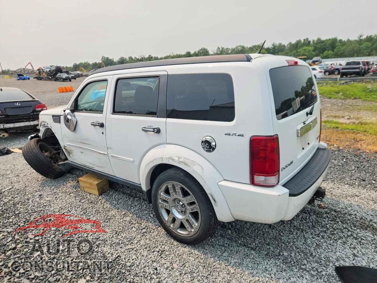 DODGE NITRO 2011 - 1D4PU4GK2BW537716