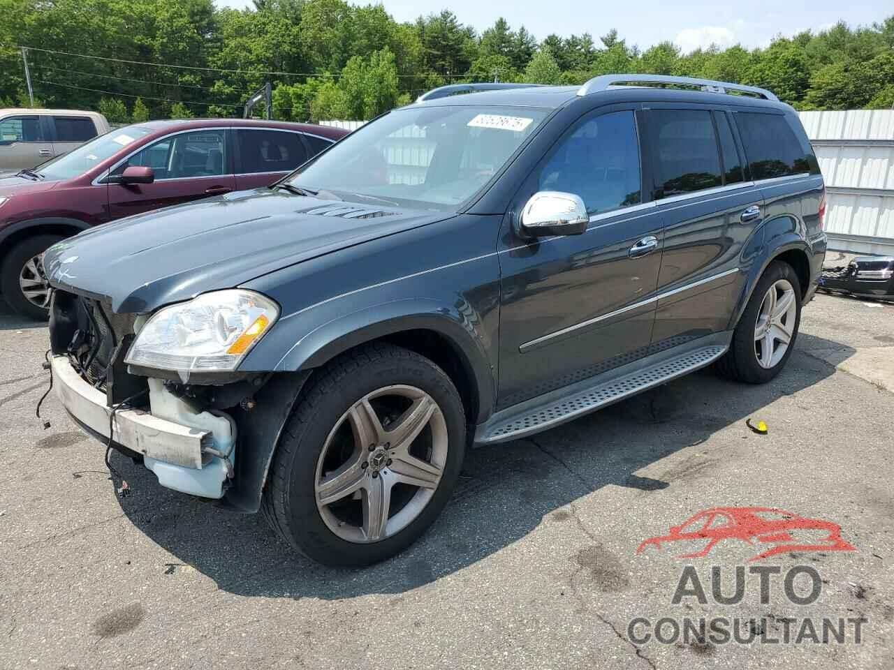 MERCEDES-BENZ GL-CLASS 2010 - 4JGBF8GE9AA585806