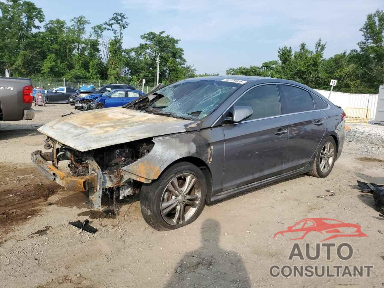 HYUNDAI SONATA 2018 - 5NPE34AF3JH720176