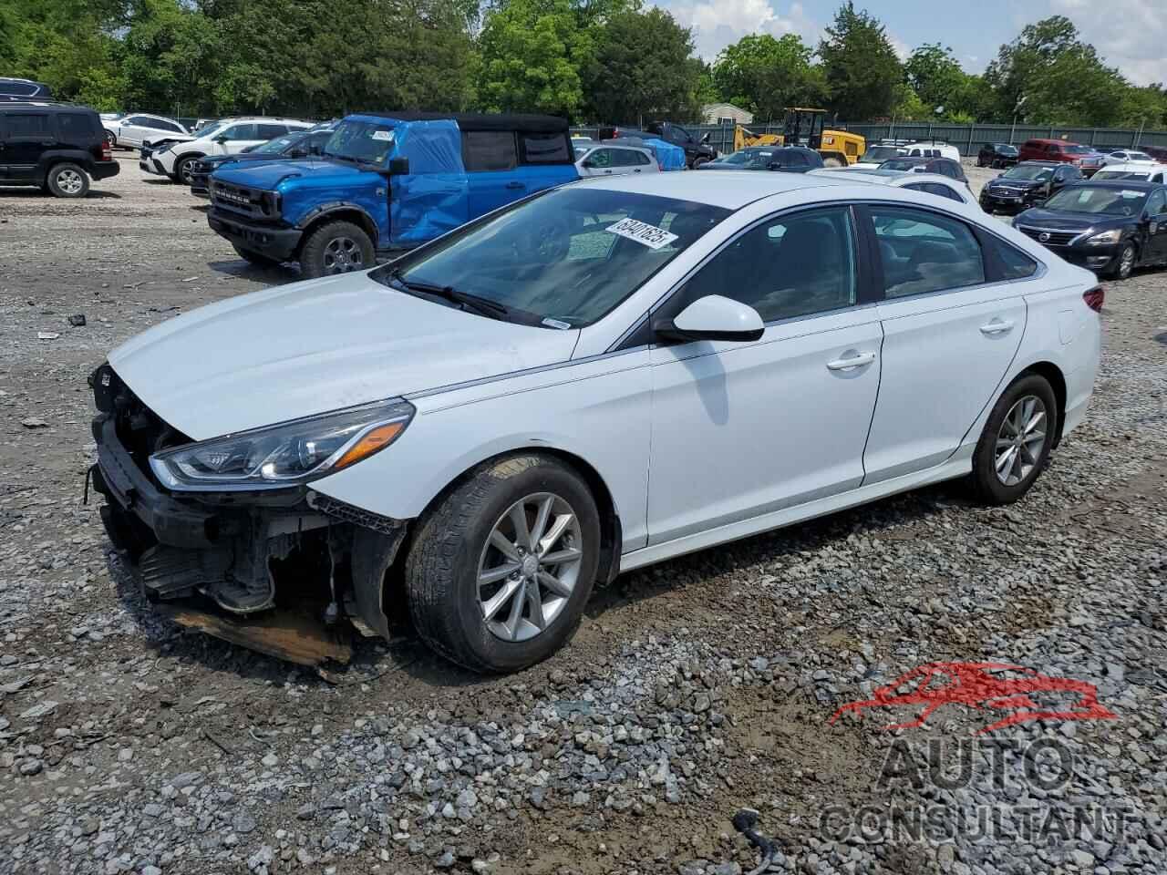 HYUNDAI SONATA 2019 - 5NPE24AF8KH807415