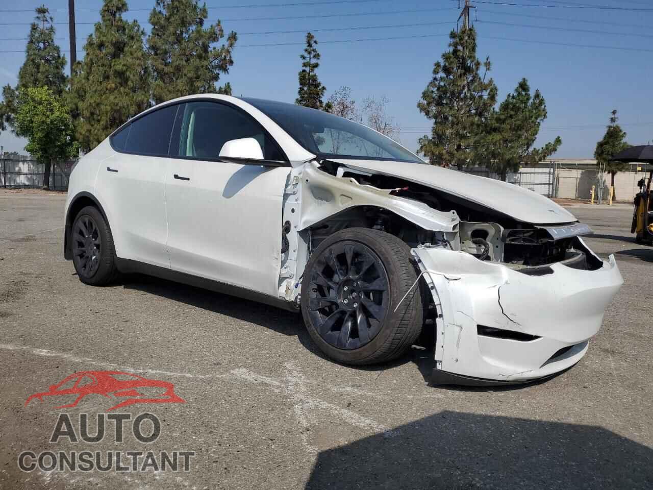 TESLA MODEL Y 2024 - 7SAYGDEE1RF124922