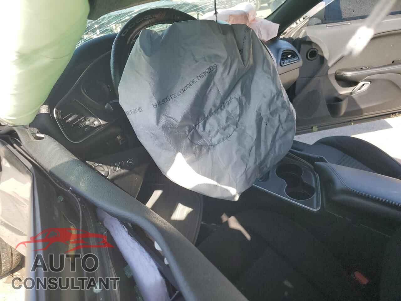 DODGE CHALLENGER 2019 - 2C3CDZAG3KH666581