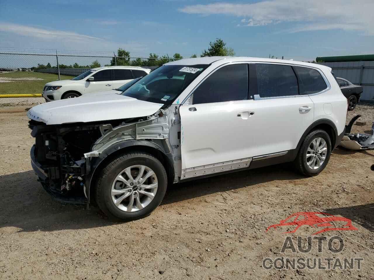 KIA TELLURIDE 2022 - 5XYP2DHC3NG263227