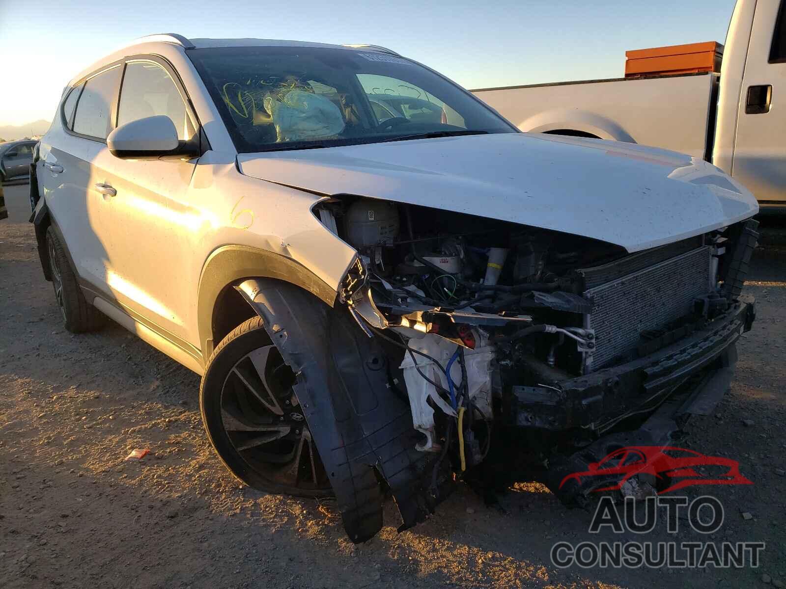 HYUNDAI TUCSON 2019 - KM8J3CAL8KU839410