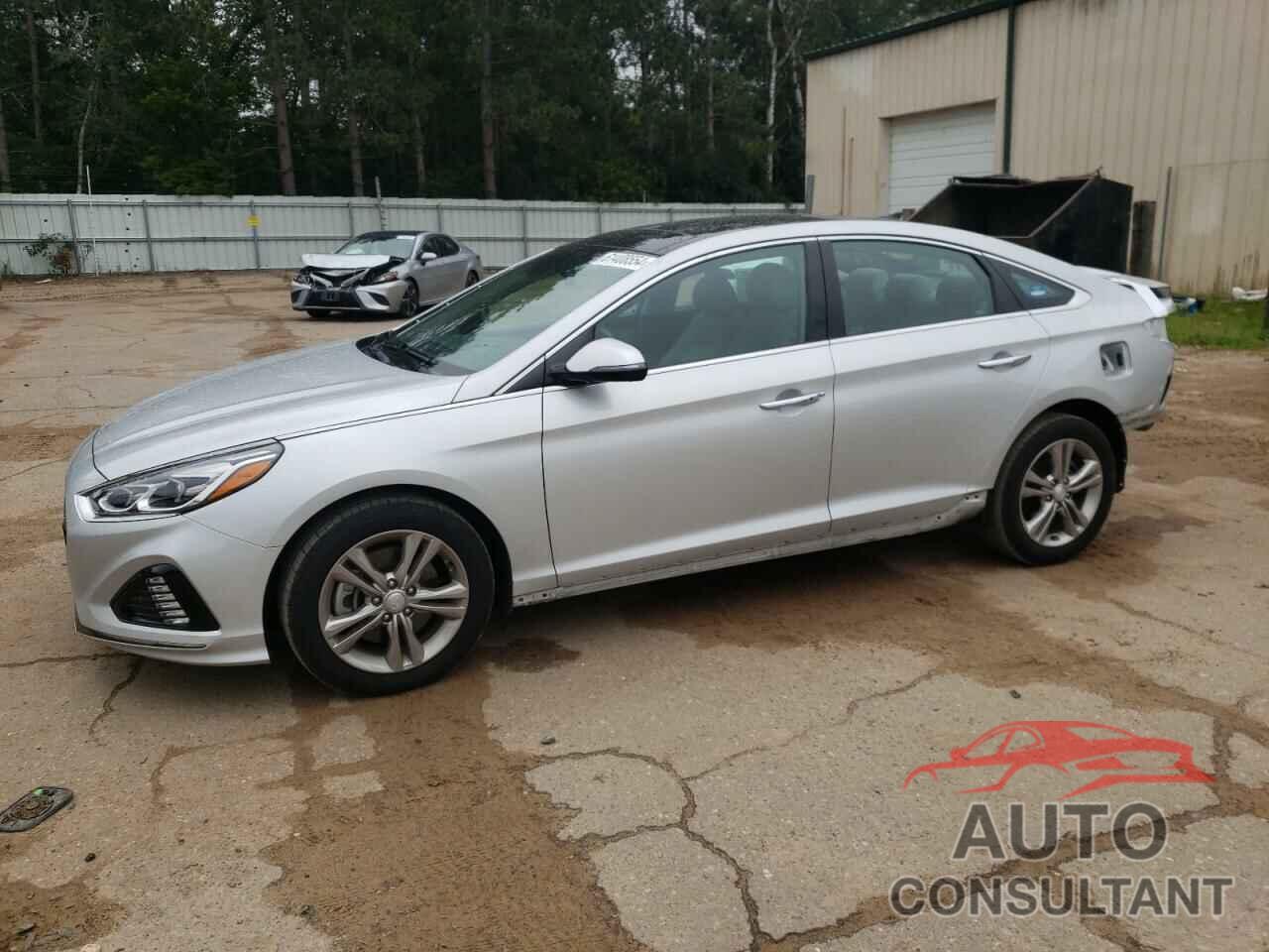 HYUNDAI SONATA 2019 - 5NPE34AF4KH769498