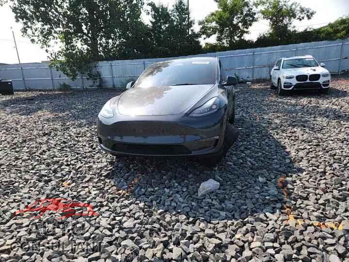 TESLA MODEL Y 2024 - 7SAYGAEE9RF992889