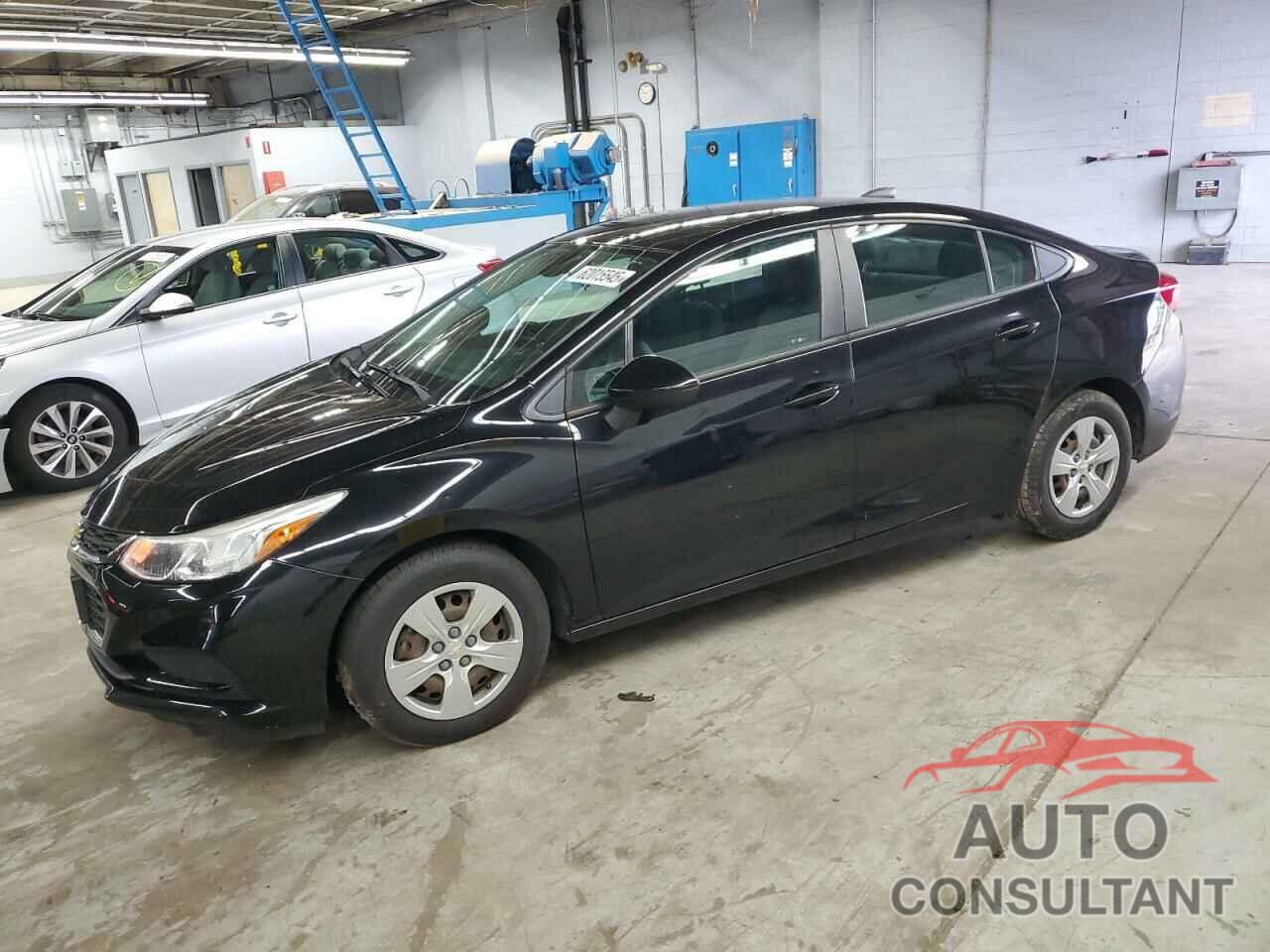 CHEVROLET CRUZE 2016 - 1G1BC5SM3G7273201