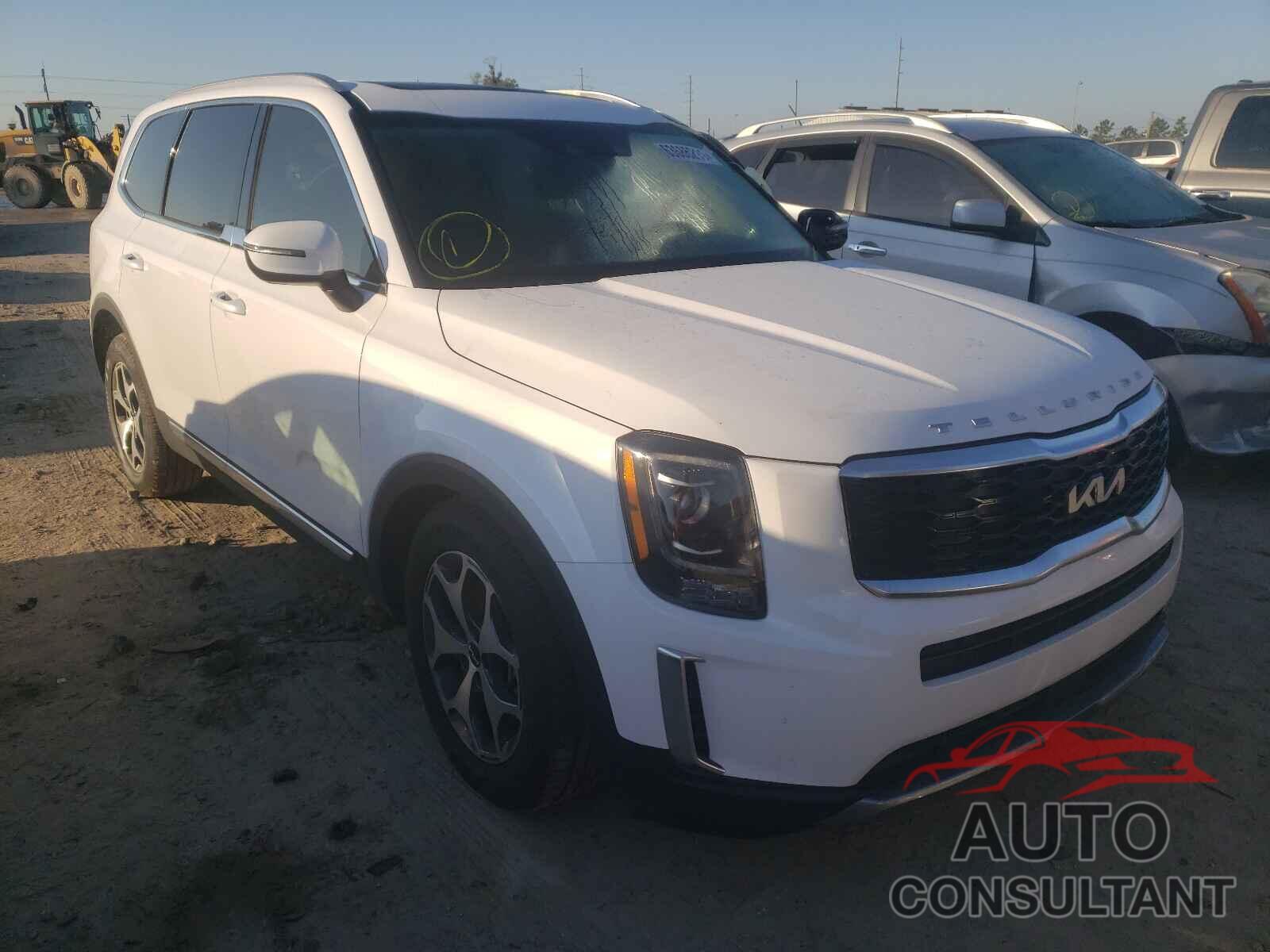 KIA TELLURIDE 2022 - 5XYP34HC5NG212079