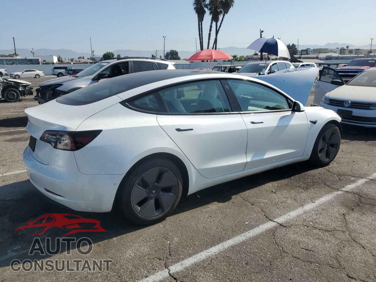 TESLA MODEL 3 2021 - 5YJ3E1EA8MF987475