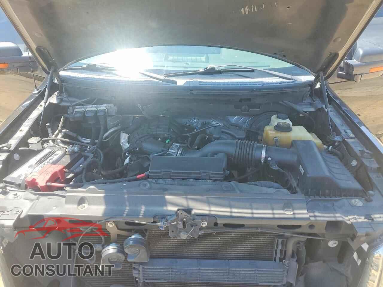 FORD F150 2013 - 1FTEX1CM2DFD44597
