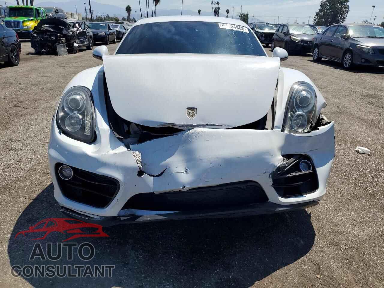 PORSCHE CAYMAN 2015 - WP0AA2A84FK162003