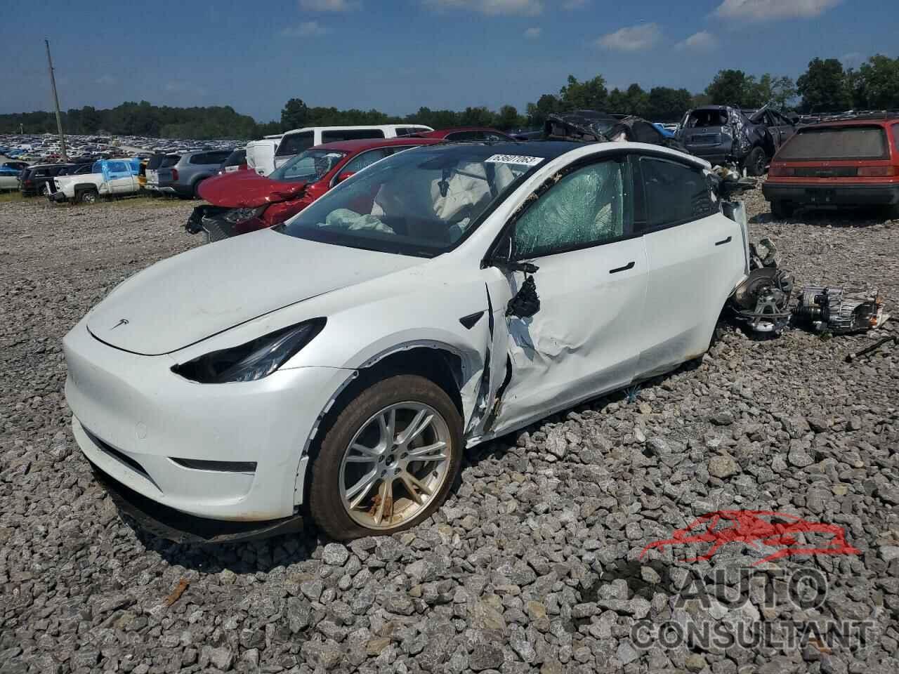 TESLA MODEL Y 2022 - 7SAYGDEE1NF378527