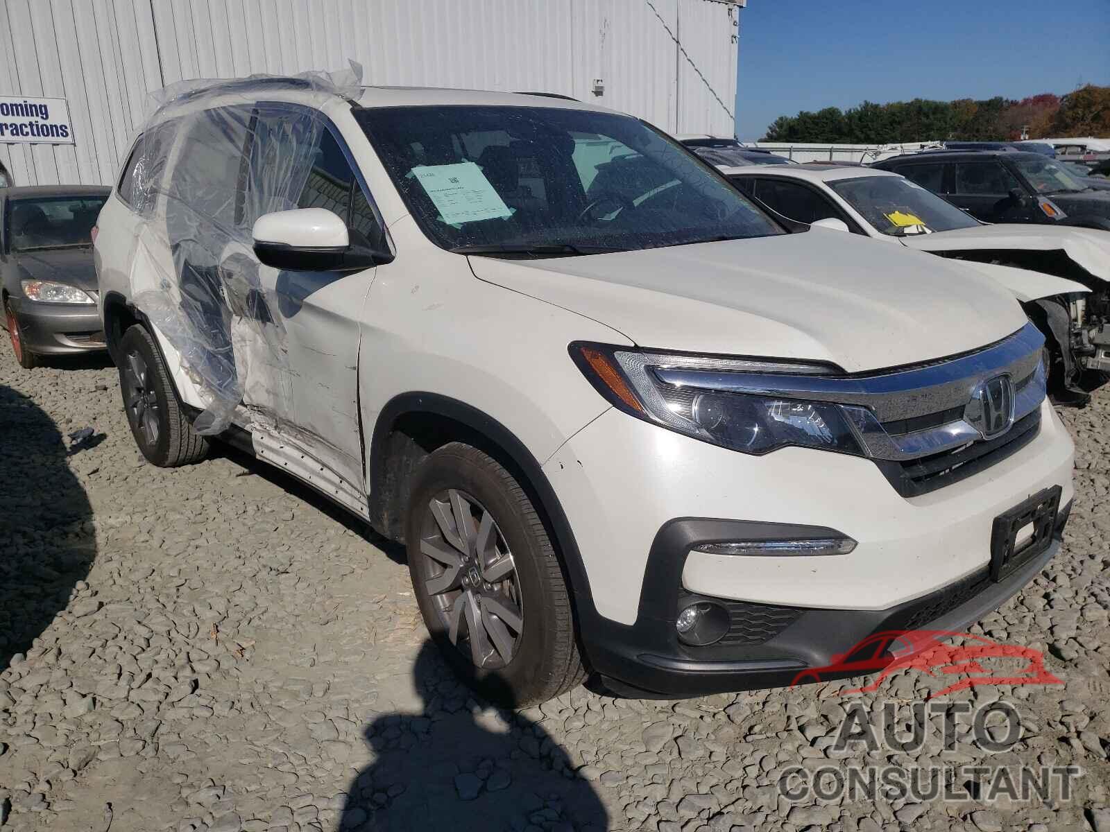 HONDA PILOT 2019 - 5FNYF6H55KB031818