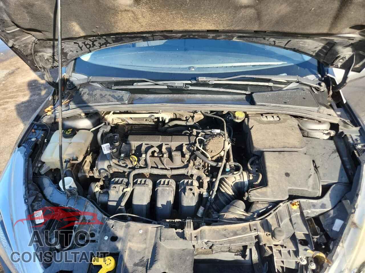 FORD FOCUS 2016 - 1FADP3F20GL304743