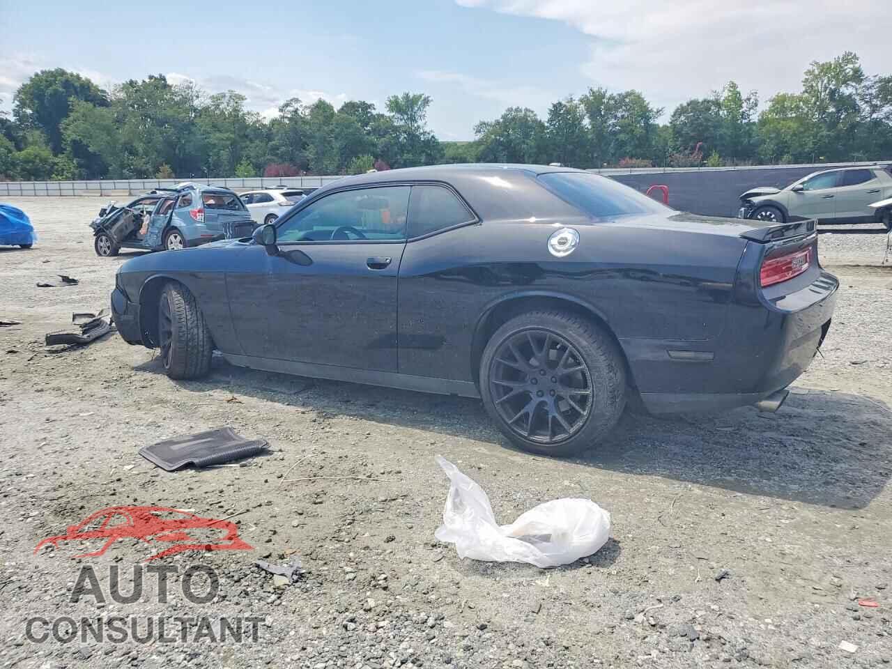 DODGE CHALLENGER 2014 - 2C3CDYBT1EH158121