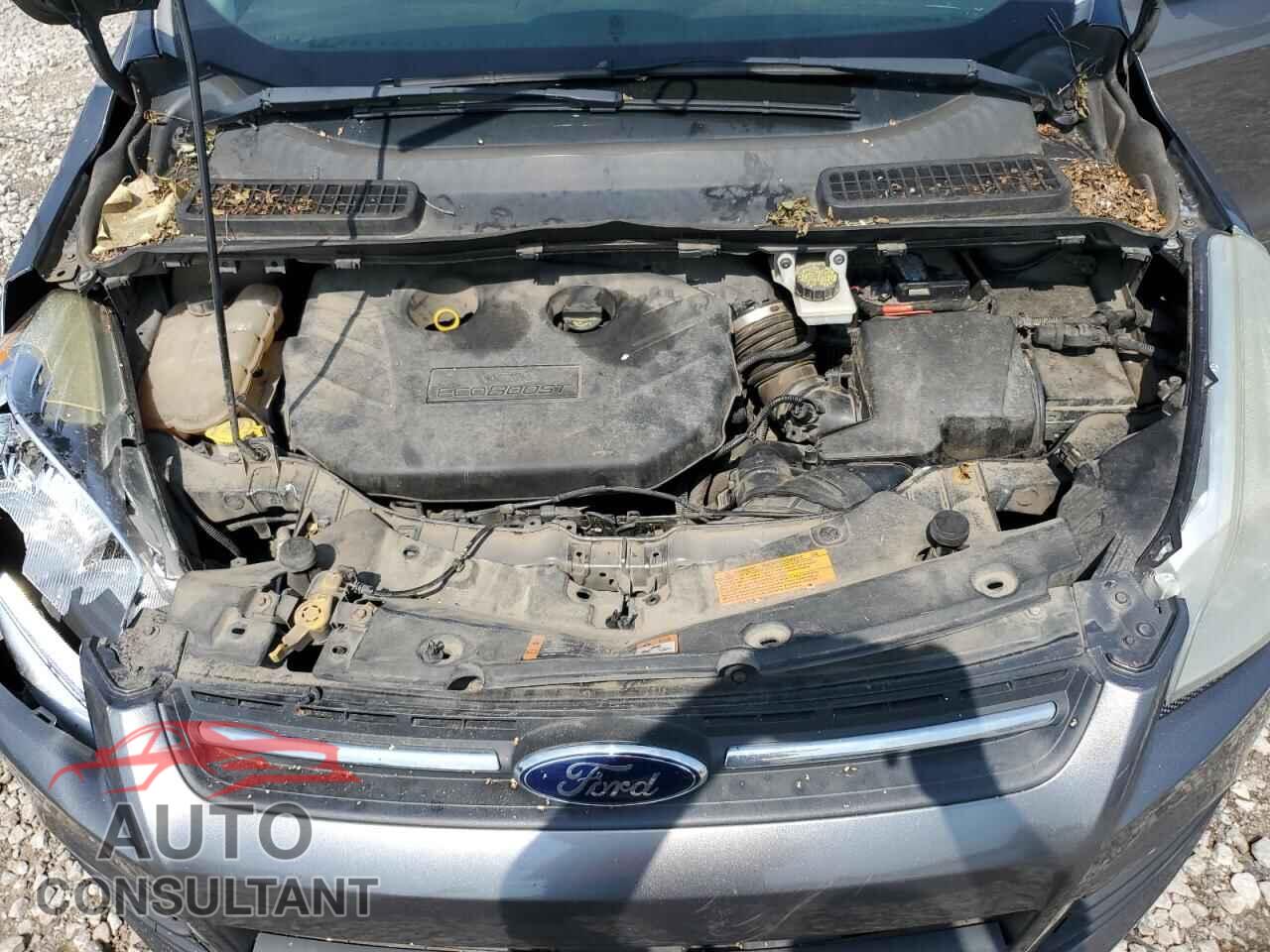 FORD ESCAPE 2014 - 1FMCU9G97EUD68908