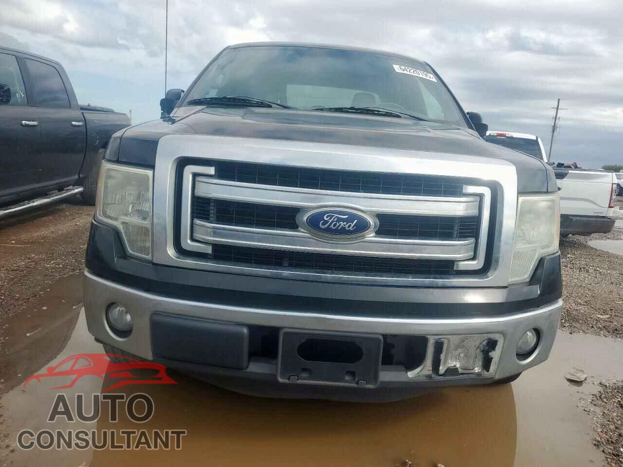 FORD F-150 2013 - 1FTFW1CF9DFA60179
