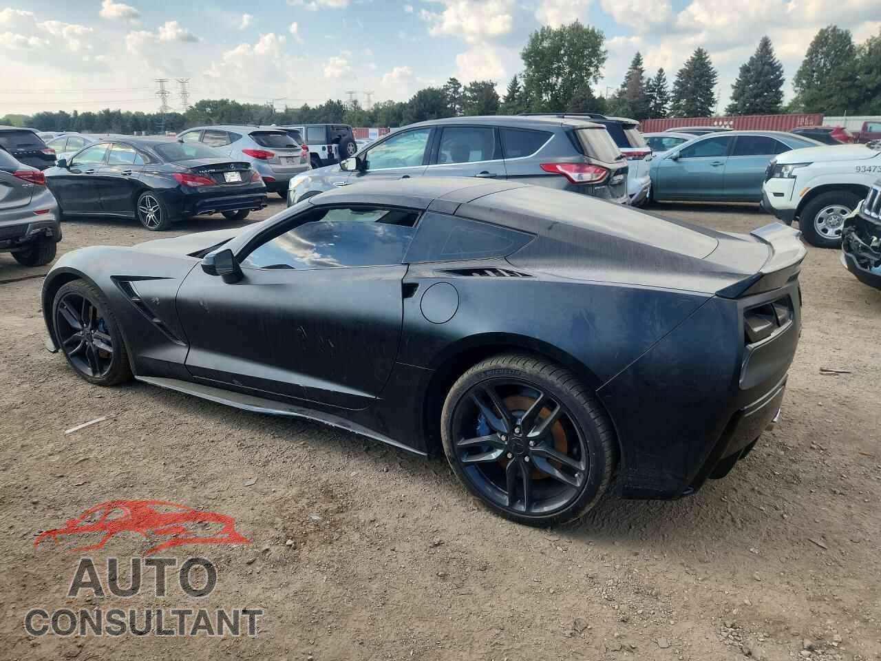 CHEVROLET CORVETTE 2019 - 1G1YF2D76K5115656