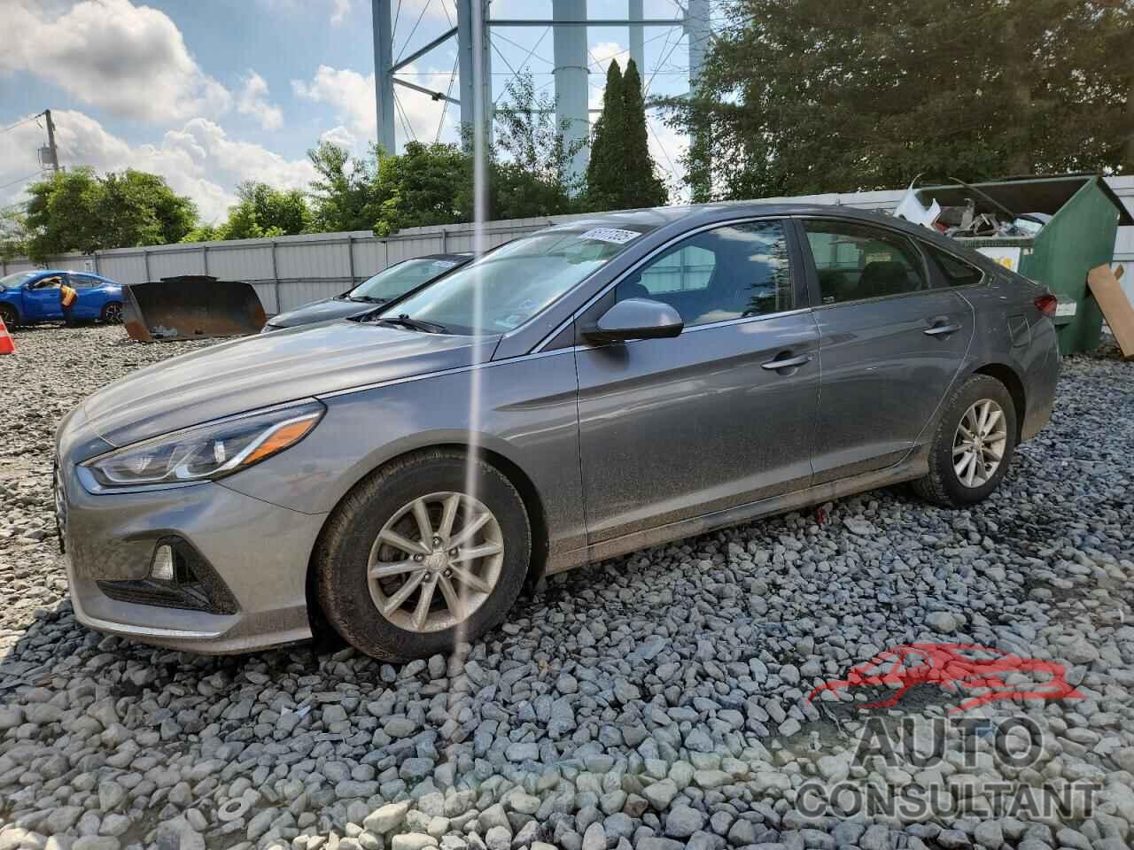 HYUNDAI SONATA 2019 - 5NPE24AF7KH818941