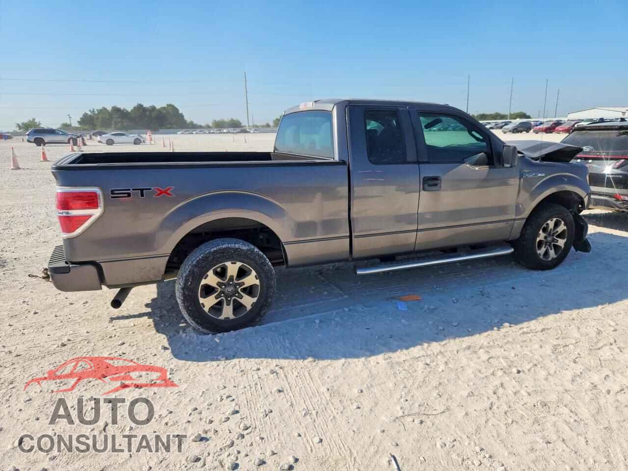 FORD F150 2013 - 1FTFX1CF5DFD81925