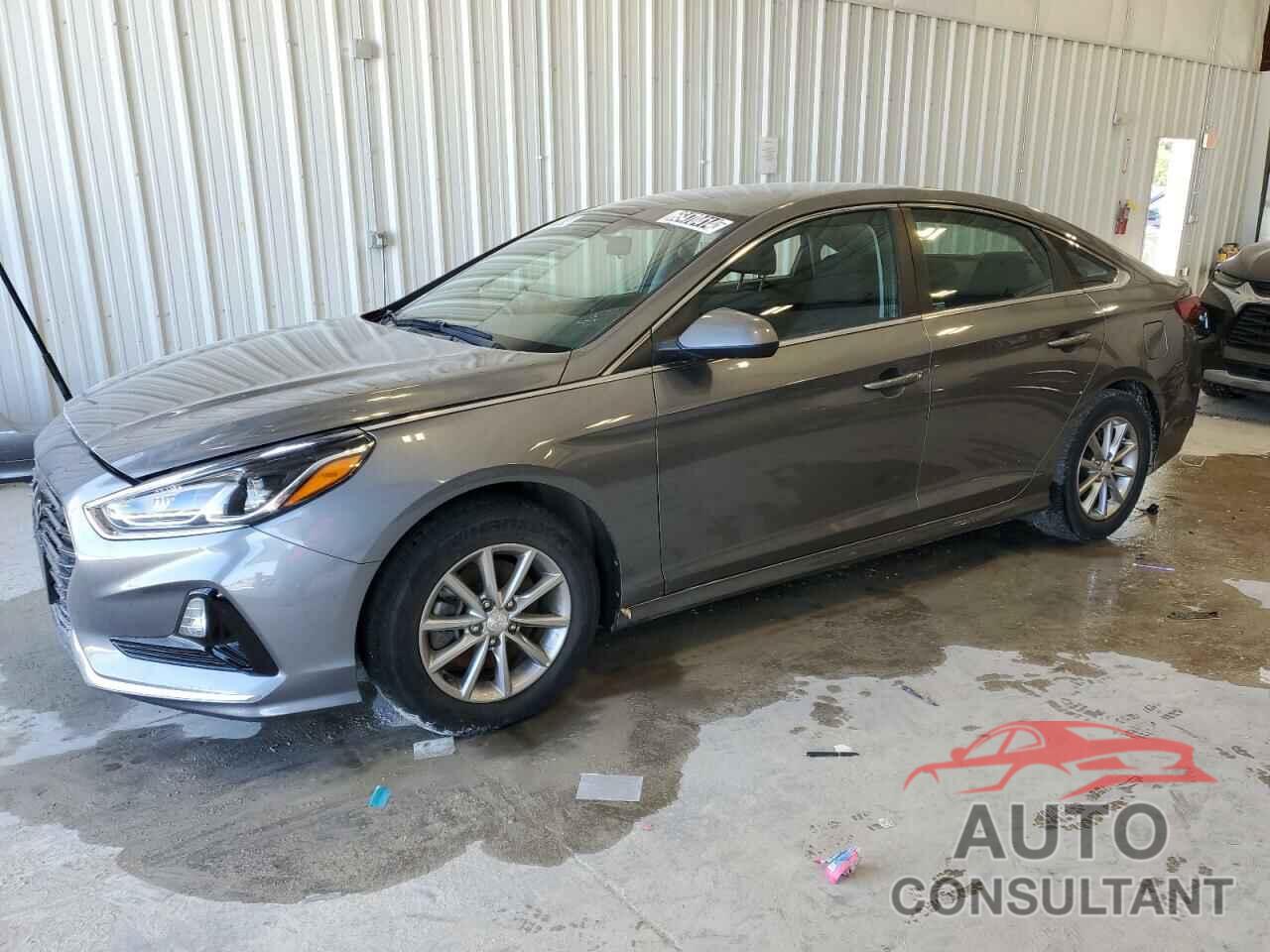 HYUNDAI SONATA 2019 - 5NPE24AF1KH738065