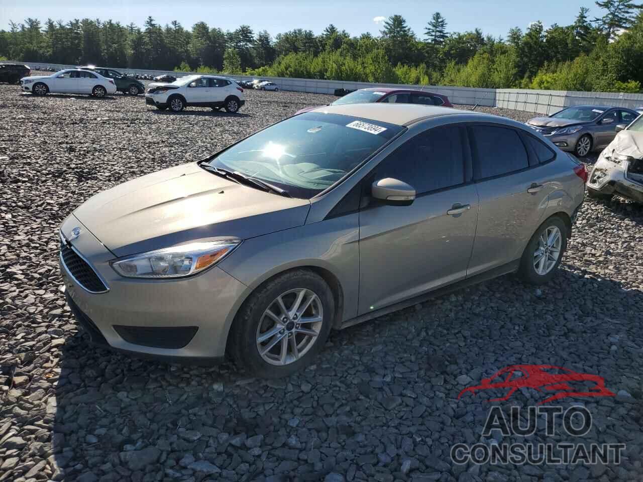 FORD FOCUS 2016 - 1FADP3F25GL308545