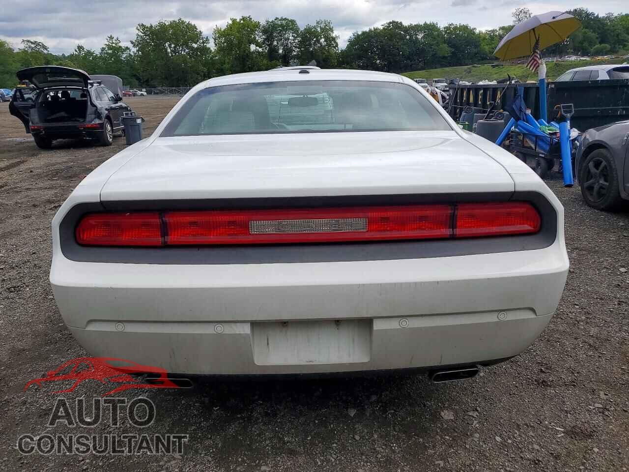 DODGE CHALLENGER 2013 - 2C3CDYAG8DH741661