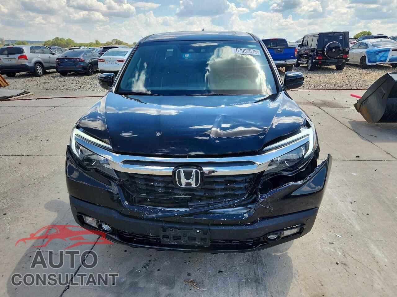 HONDA RIDGELINE 2019 - 5FPYK3F81KB007434