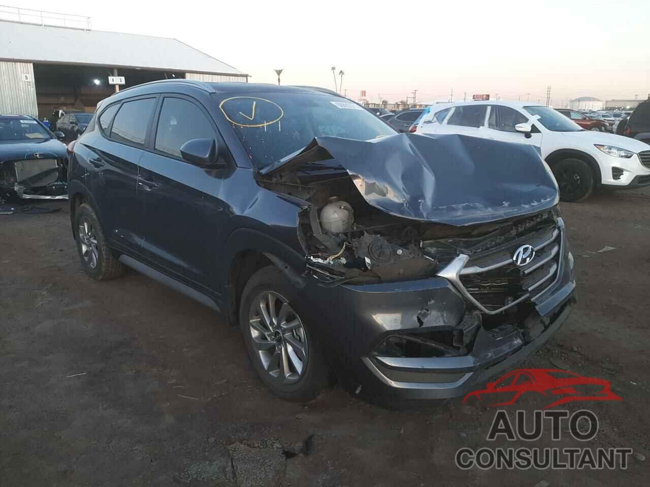 HYUNDAI TUCSON 2017 - KM8J33A43HU529991