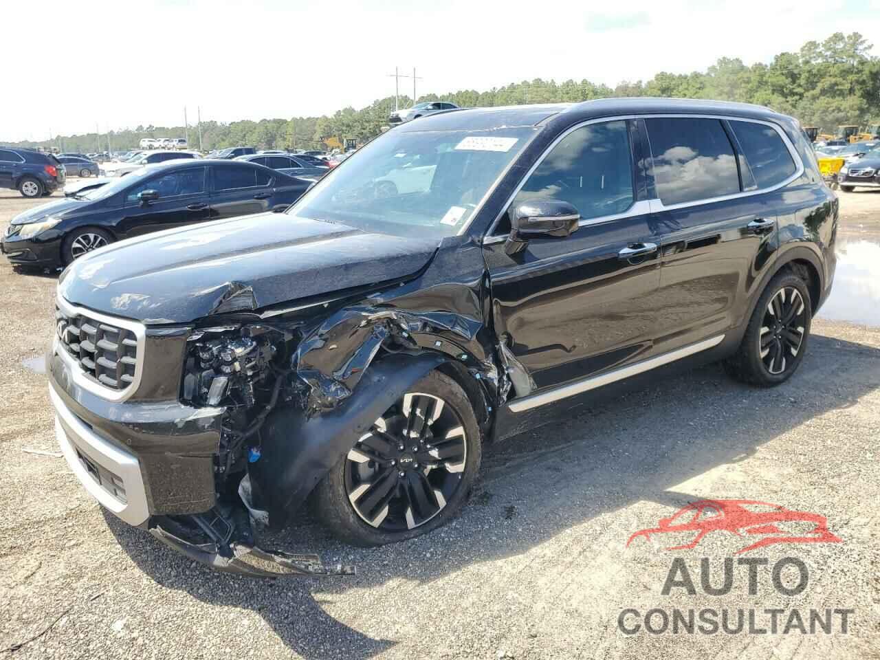 KIA TELLURIDE 2024 - 5XYP54GC6RG461153