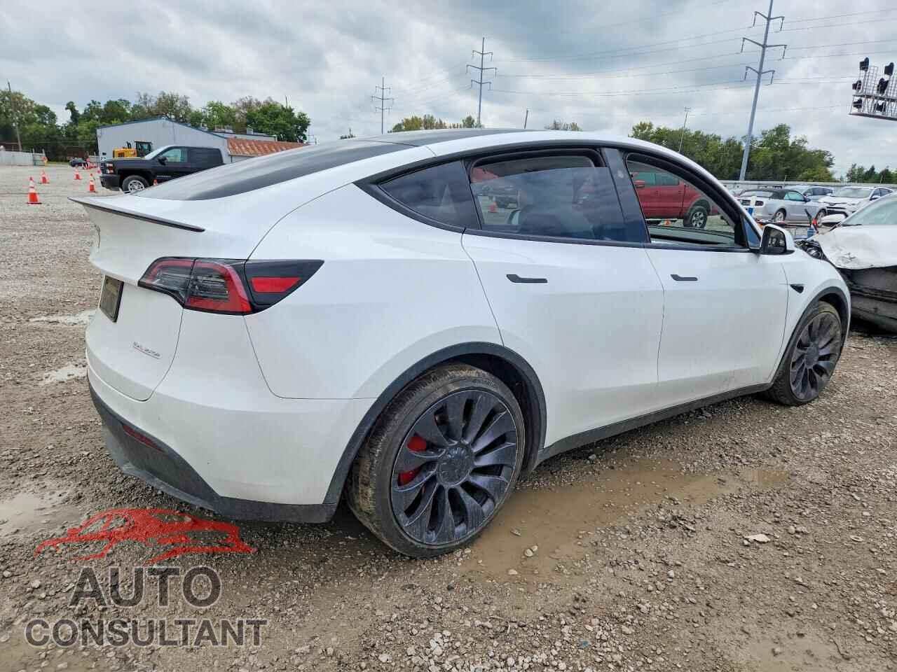 TESLA MODEL Y 2025 - 7SAYGDEF7SA352483