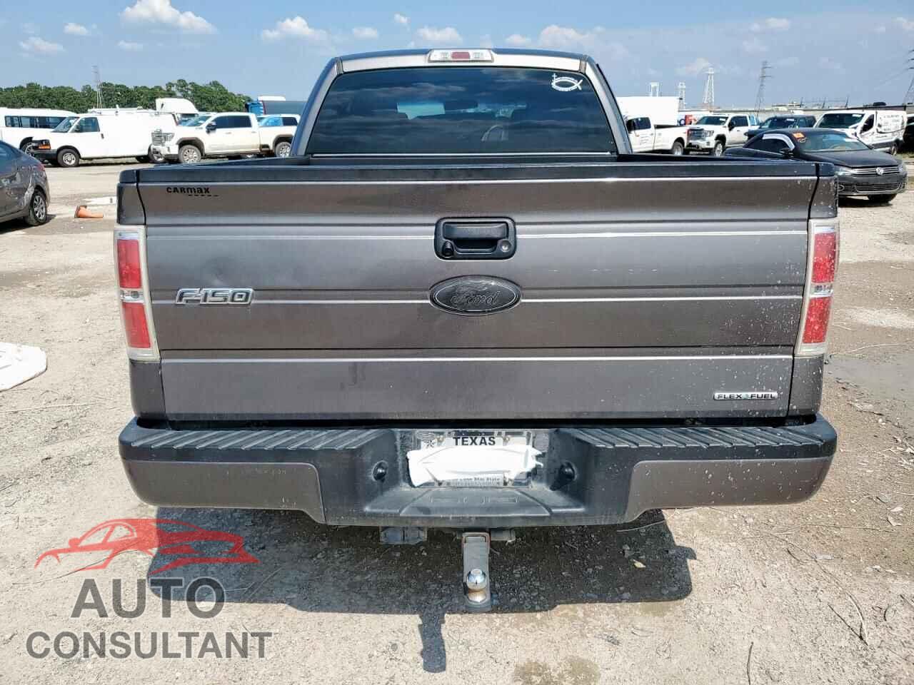 FORD F-150 2013 - 1FTFX1CF8DFD10542
