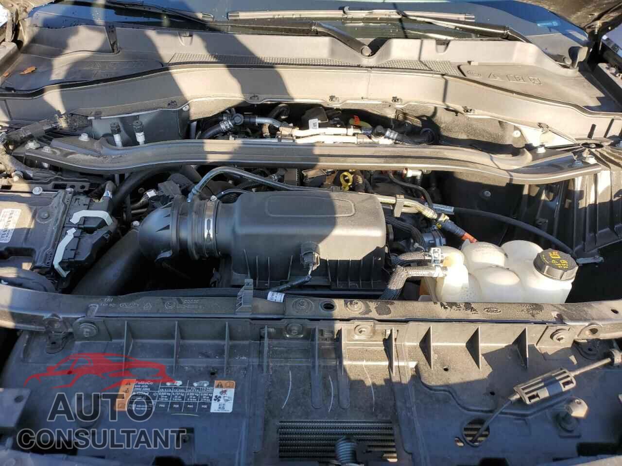 FORD EXPLORER 2022 - 1FMSK7KH6NGA86276
