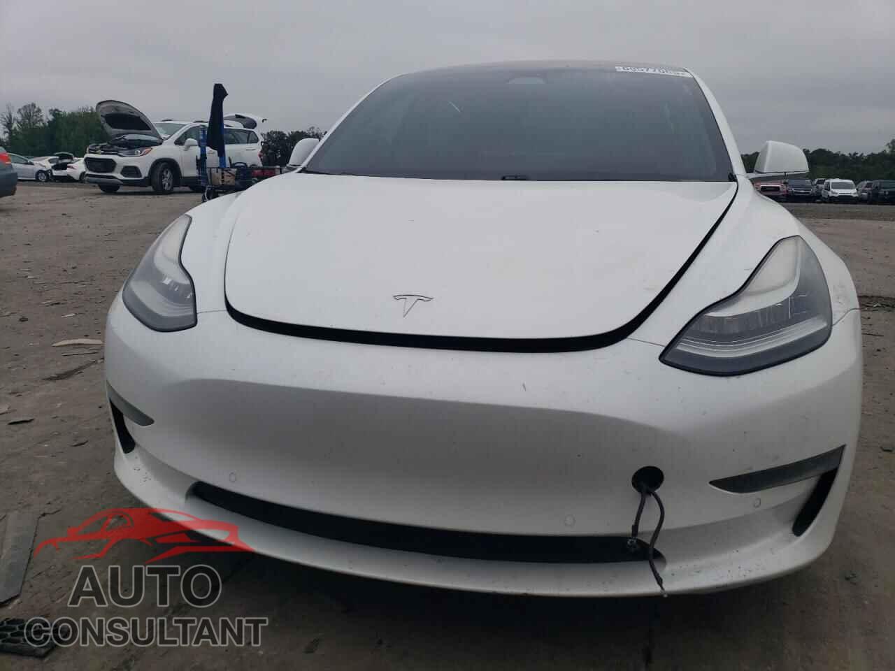 TESLA MODEL 3 2019 - 5YJ3E1EA9KF309928