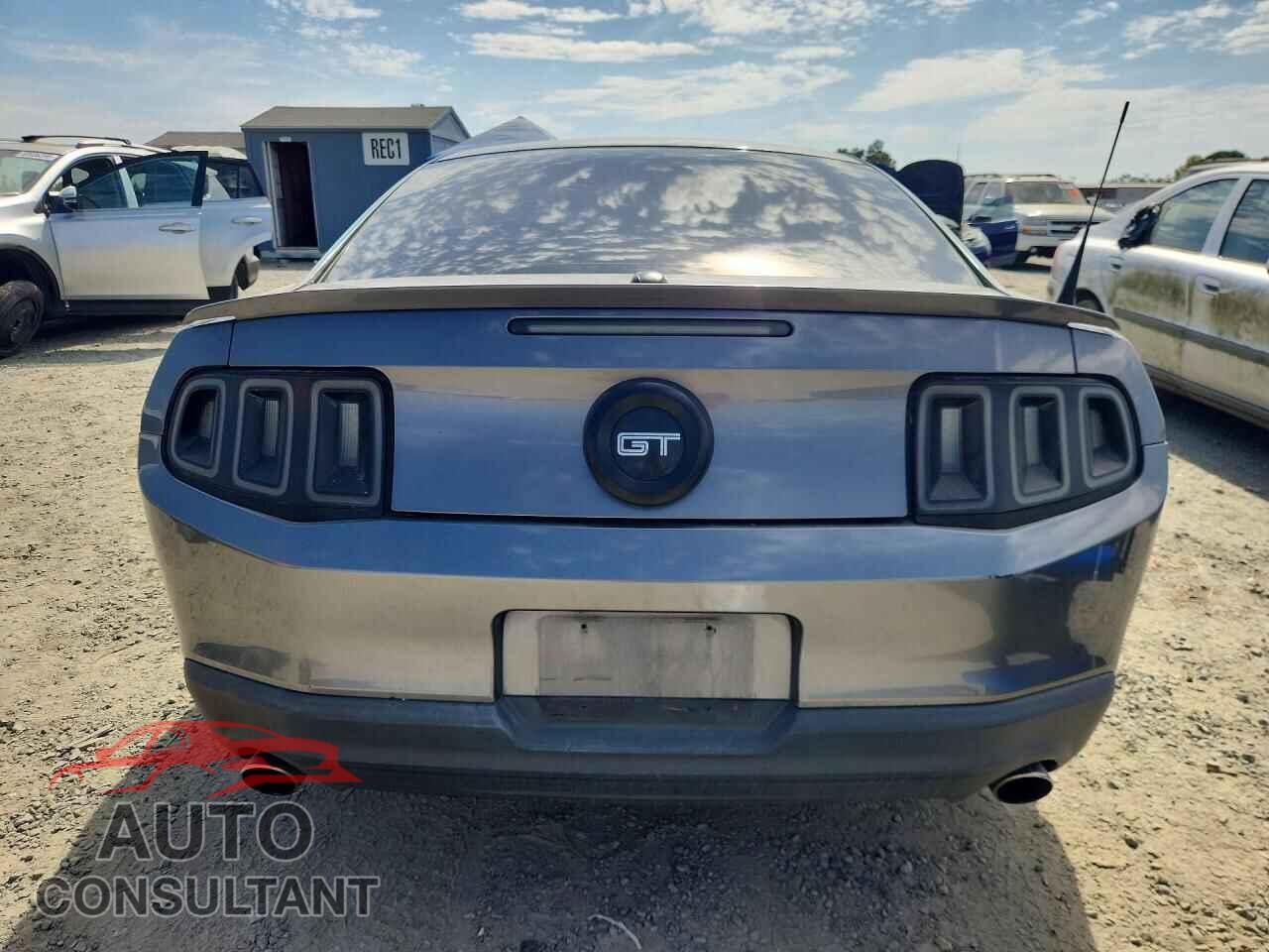 FORD MUSTANG 2010 - 1ZVBP8CH0A5111542