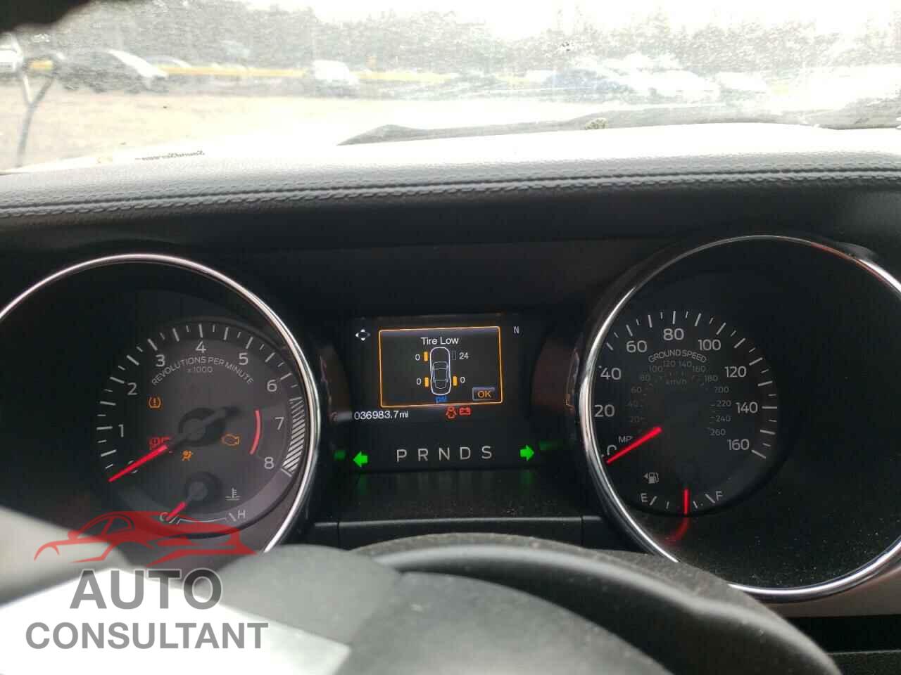 FORD MUSTANG 2017 - 1FA6P8TH8H5304543