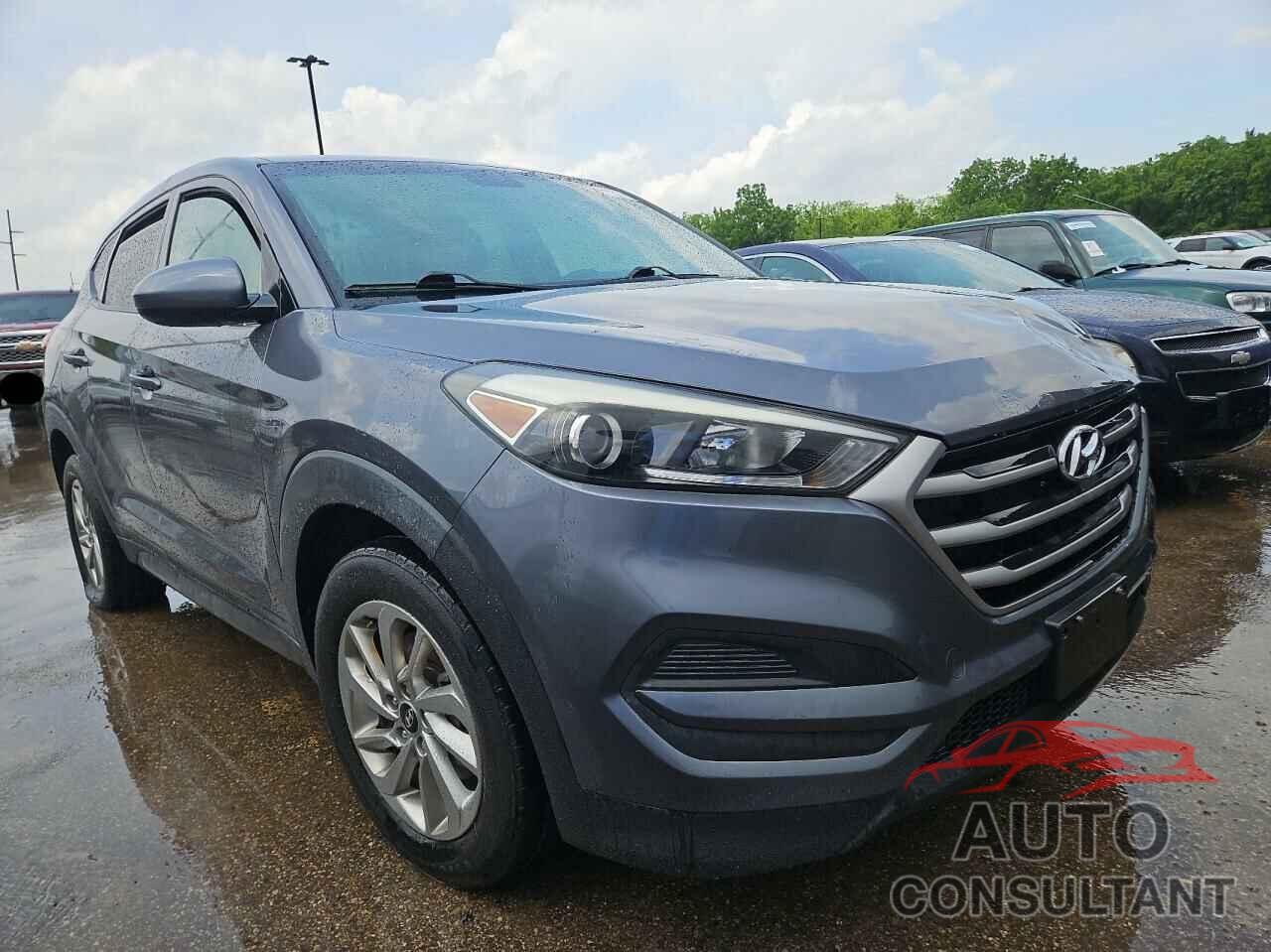 HYUNDAI TUCSON 2017 - KM8J23A40HU261789