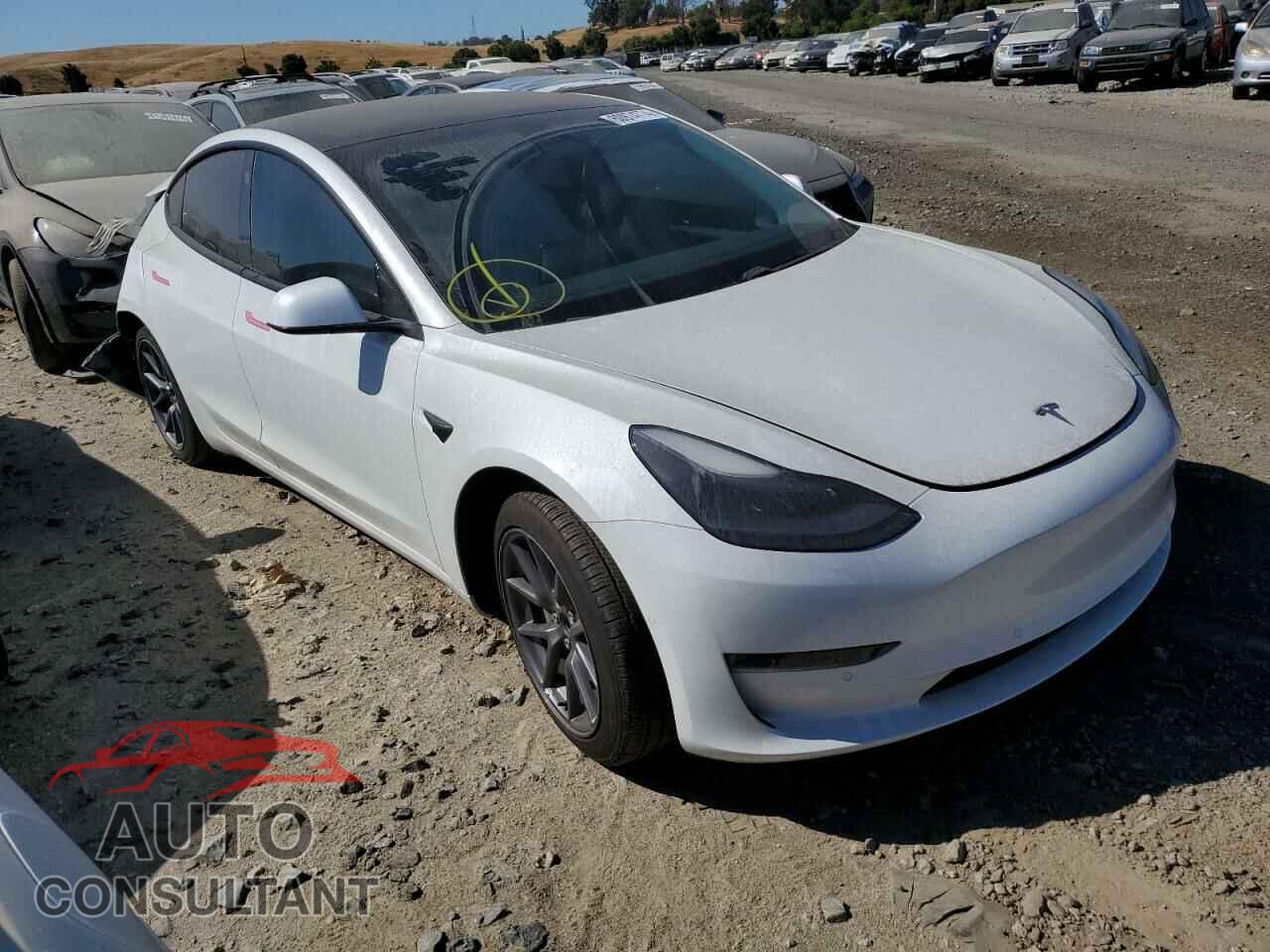 TESLA MODEL 3 2021 - 5YJ3E1EA2MF071701