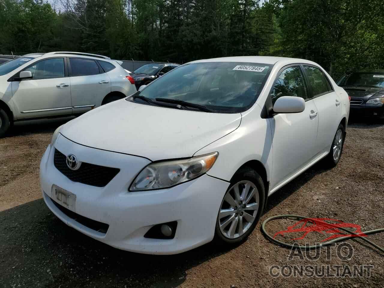 TOYOTA COROLLA 2009 - 2T1BU40E99C116428