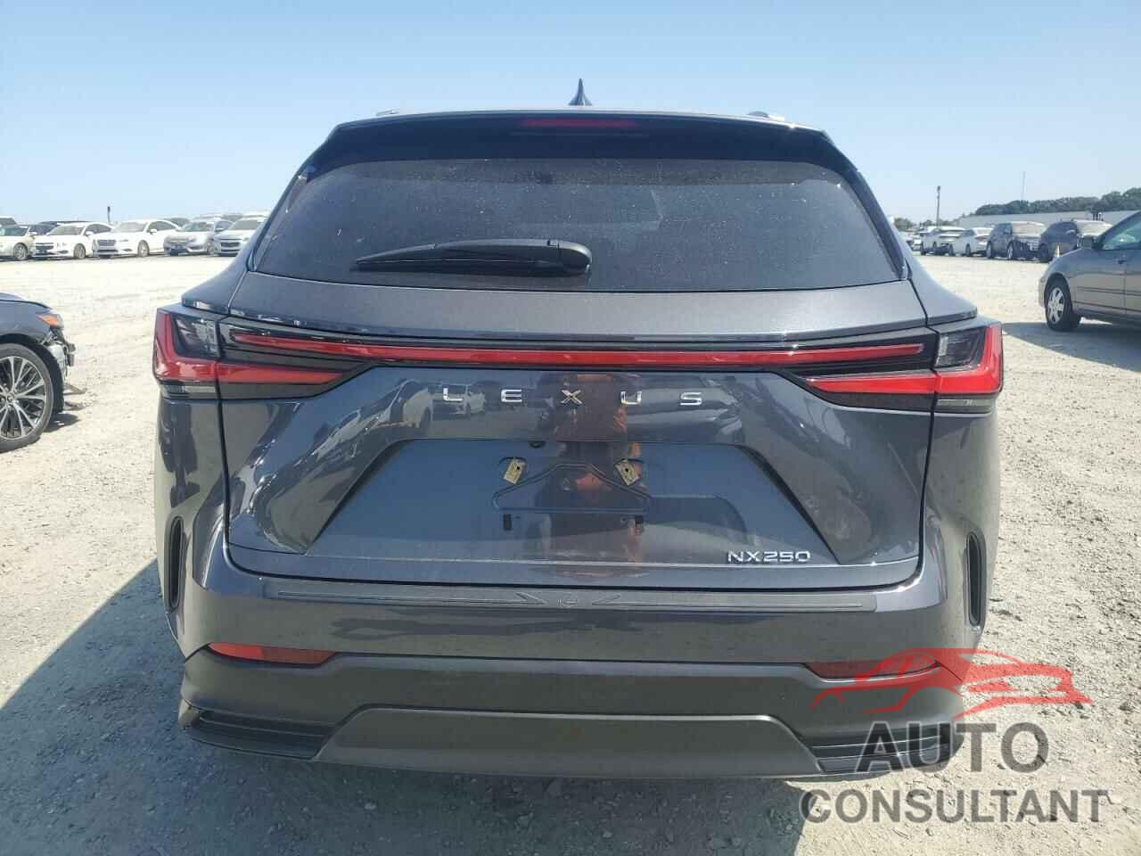 LEXUS NX 250 BAS 2024 - 2T2ADCAZ7RC010031