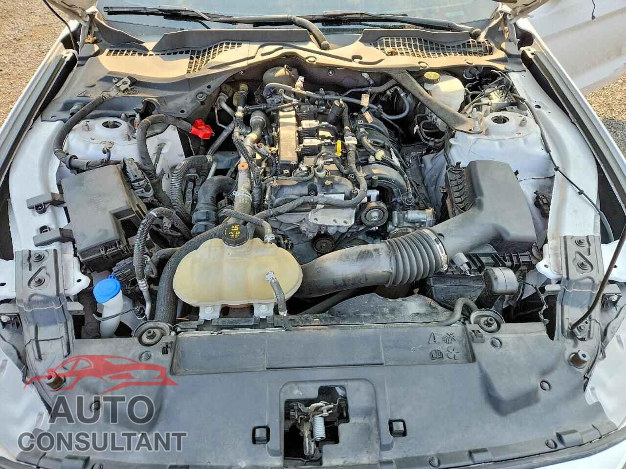 FORD MUSTANG 2021 - 1FATP8UH4M5123922