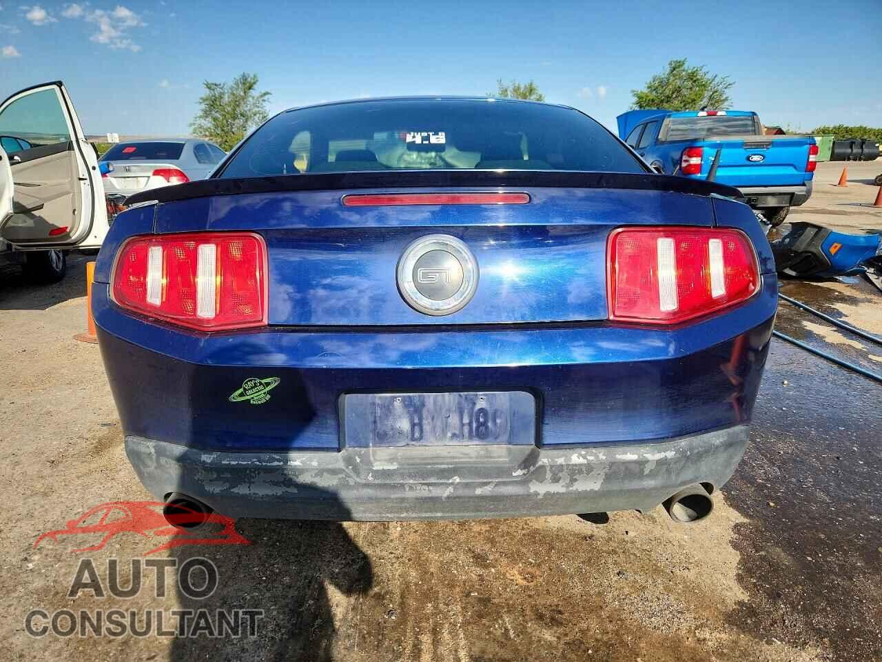 FORD MUSTANG 2010 - 1ZVBP8CH7A5117516